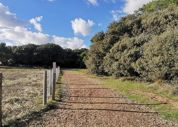 Maison Confortable 6 Pers. A 200m De La Plage, Animaux Admis, Parking - Fr-1-194-449 *